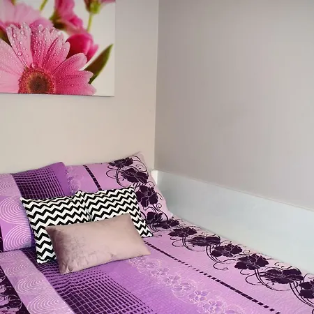 Akord ホームステイ