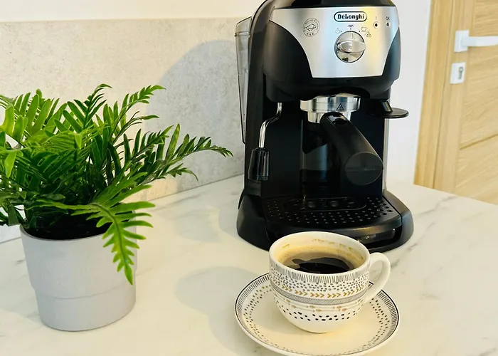 Akord * Władysławowo